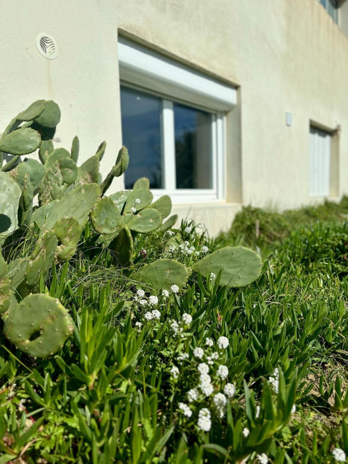 La Graviere, Cozy Studio Wifi & Parking 20M Ocean Surf Plage Soorts-Hossegor Exterior photo